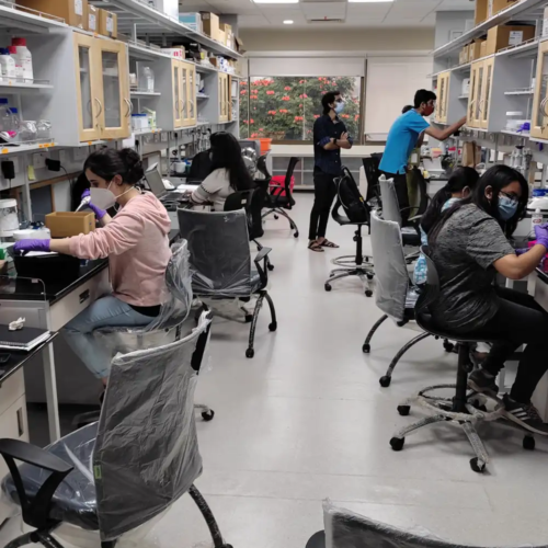 The team at immunitoAI working out of the lab