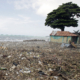 One of the many emaciated stray dogs scavenging for subsistence in this trash-laden beach in the village of Anse an Foleur.